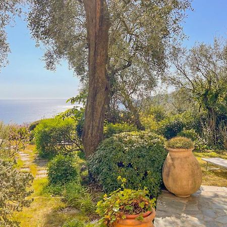 L'Uliveto Di Santa Con Piscina Villa Santa Margherita Ligure Exteriör bild