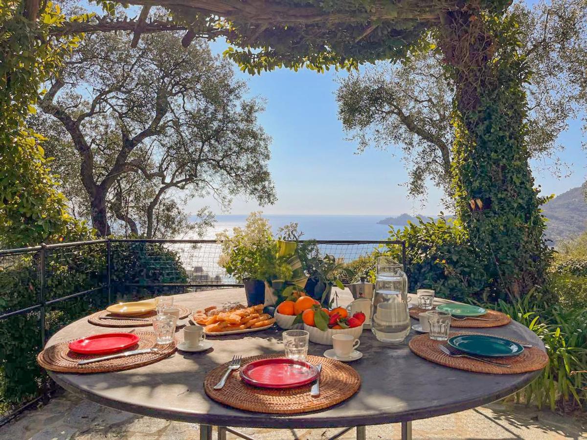 L'Uliveto Di Santa Con Piscina Villa Santa Margherita Ligure Exteriör bild