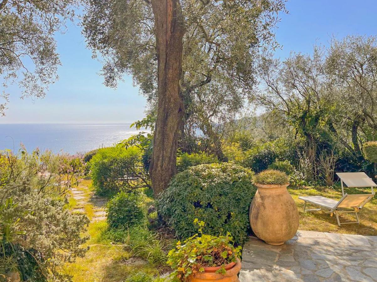 L'Uliveto Di Santa Con Piscina Villa Santa Margherita Ligure Exteriör bild